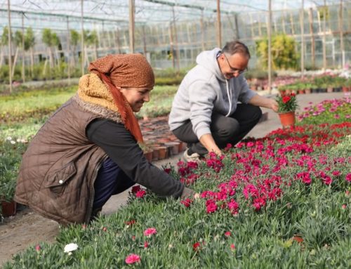 Beyobası Village-Köyceğiz