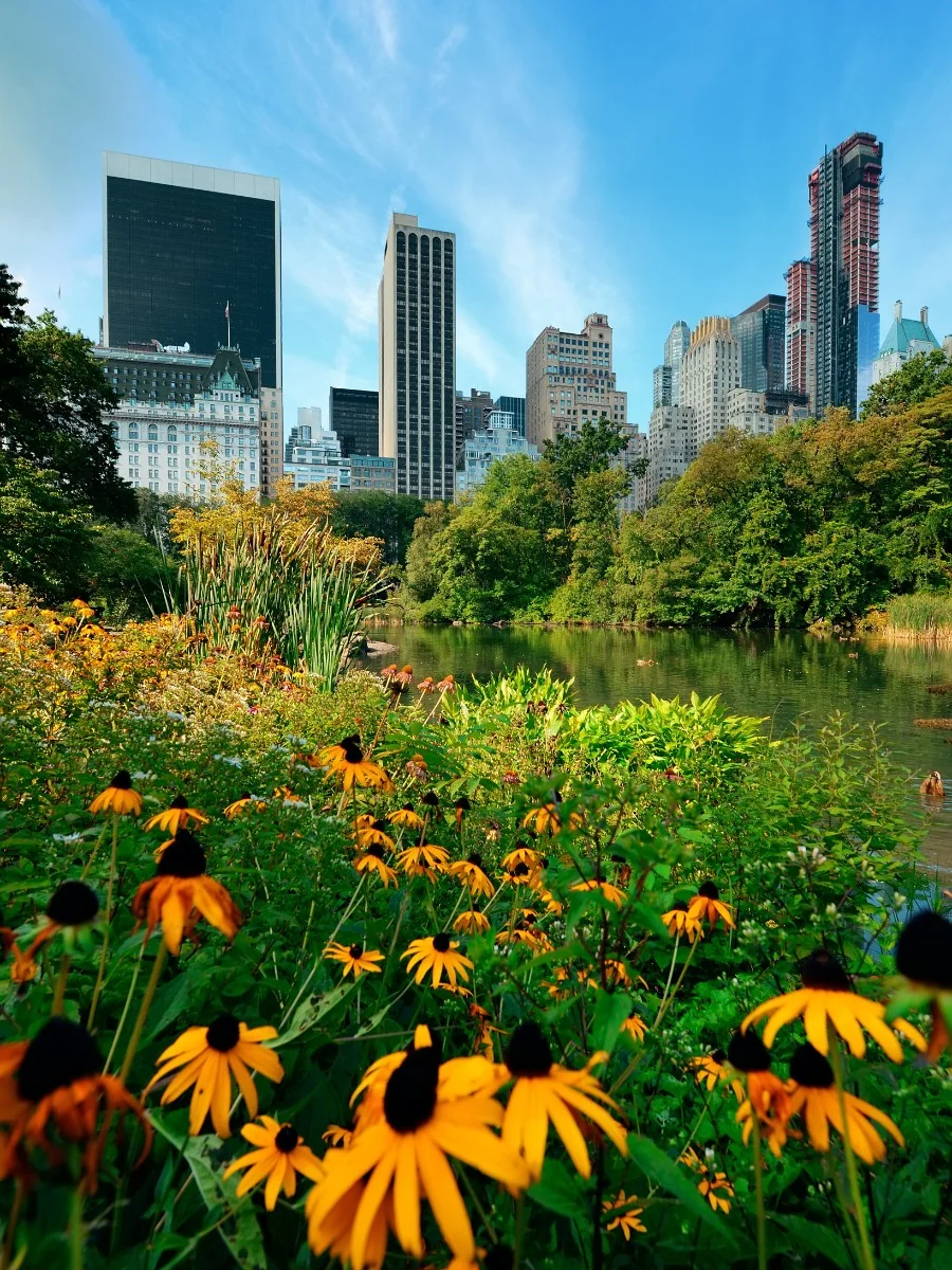 Landscape plants in green cities like Paris and Montreal for AIPH World Green City Awards 2026.
