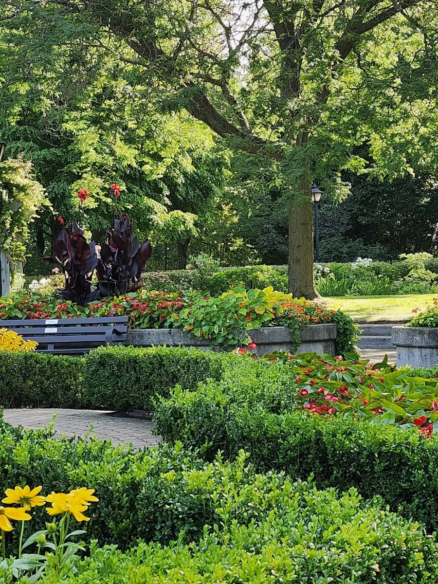 Landscape plants in green cities like Paris and Montreal for AIPH World Green City Awards 2026.