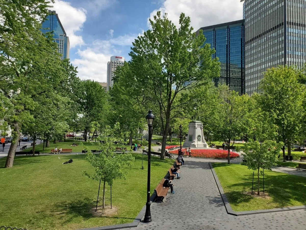 Landscape plants in green cities like Paris and Montreal for AIPH World Green City Awards 2026.