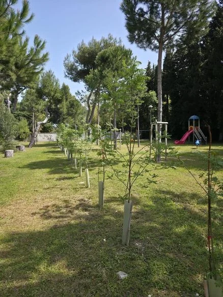 İtalya Teramo Giulianova'da Parco Italia projesi kapsamında dikilen 3.600 fidan ve kentsel ağaçlandırma alanı.