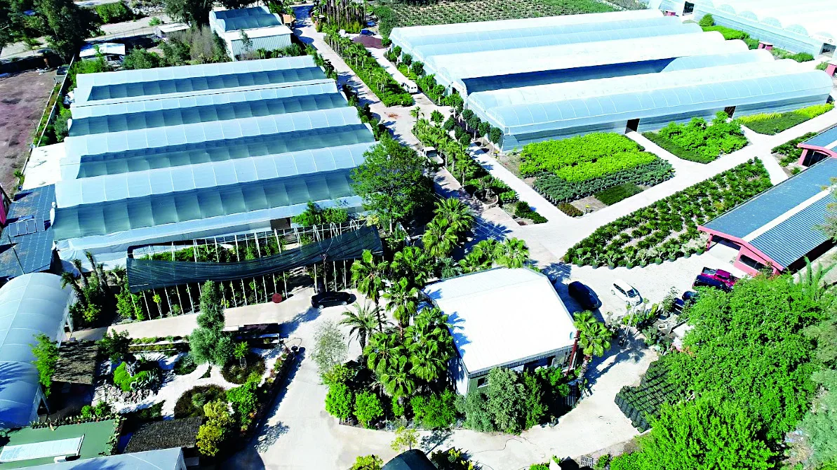Tetikler Group Türkiye peyzaj bitkileri üretim alanı ve lojistik merkezi