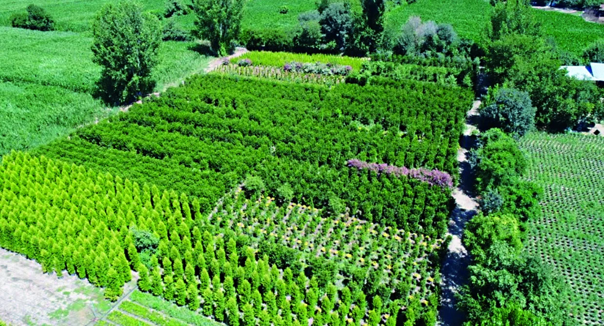 Türkiye Tetikler Group peyzaj bitkileri üretim alanı ve lojistik merkezi