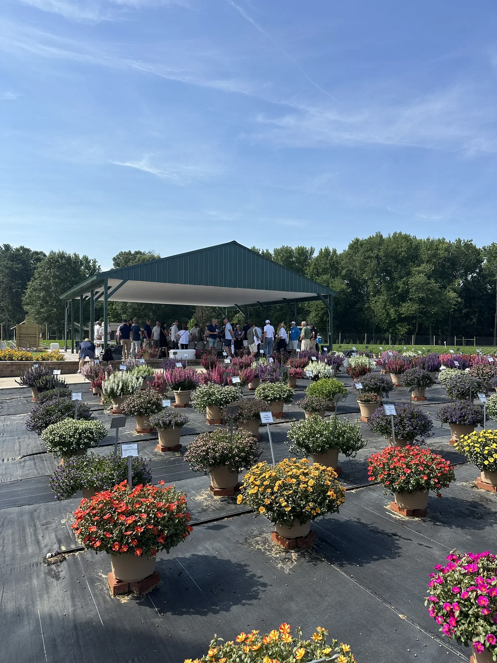 Philadelphia Fleuroselect 55. Kongresi Lucas Greenhouses ziyareti