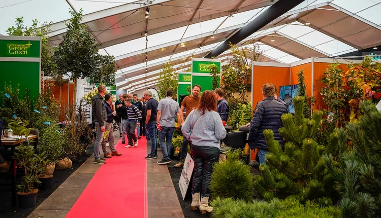 Hollanda Zundert GrootGroenPlus fidancılık ve peyzaj fuarı