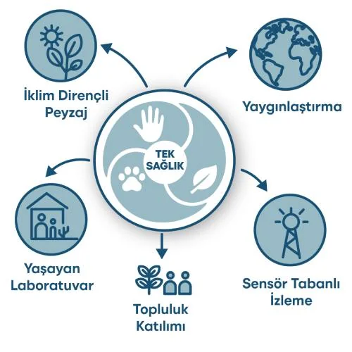 İzmir İnciraltı Botanik Expo 2027 peyzaj ve bitki üretim hazırlıkları